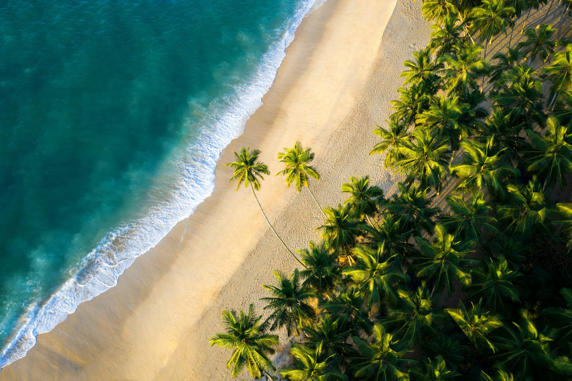 Top 10 Destinations in Sri Lanka Where You Will Find Magic